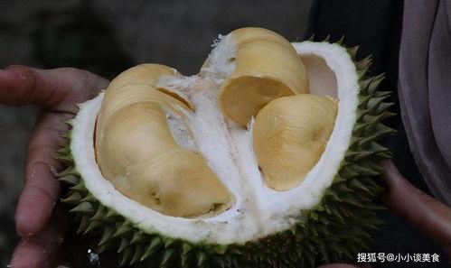 成人榴莲视频色斑软件,技术解析与使用指南