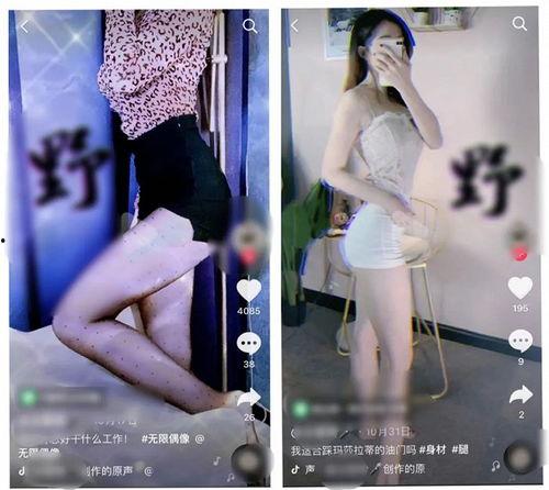 性成人短视频展示,内容、影响与反思