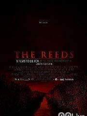 国产高清簧片视频,揭秘科技魅力与匠心独运