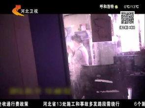 色视频免费看,揭秘免费色视频观看背后的真相与风险