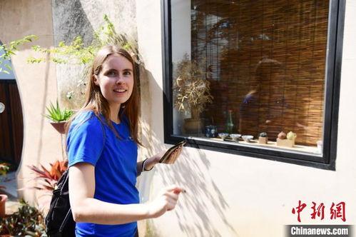 美国最大成人视频网站,行业巨头背后的故事