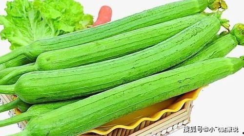丝瓜草莓视频成人版